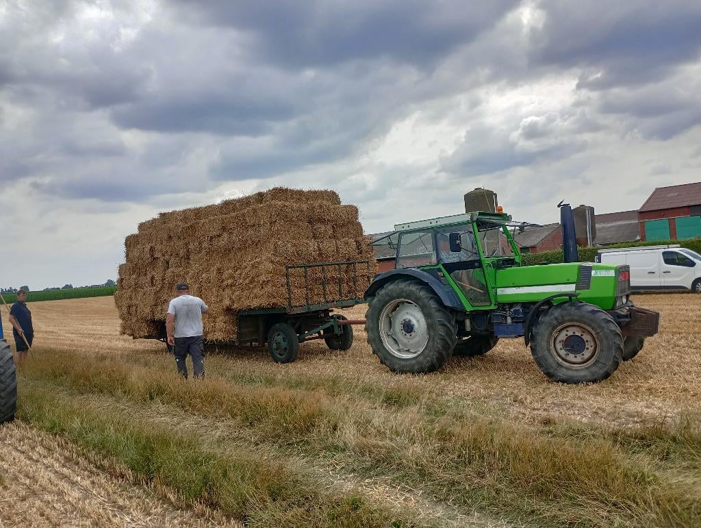 Kleine balen stro, Zakelijke goederen, Landbouw | Veevoer, Ophalen