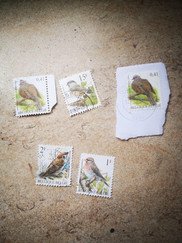 5 gestempelde postzegels België vogels, Ophalen of Verzenden
