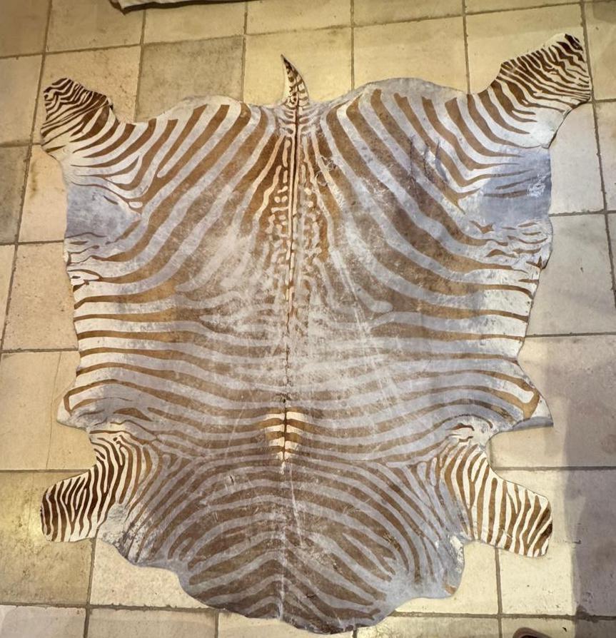 Vloerkleed in zebrahuid, Ophalen, Gebruikt, 100 tot 150 cm, 50 tot 100 cm