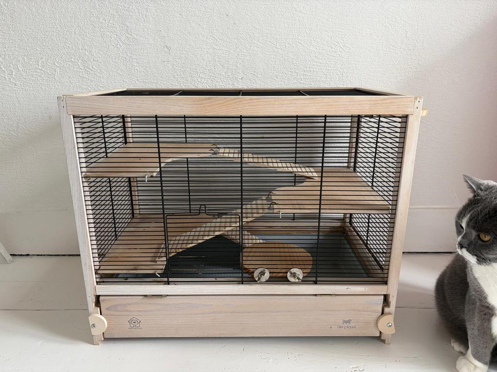 Hamsterkooi + toebehoren, Dieren en Toebehoren, Knaagdieren en Konijnen | Hokken en Kooien, Ophalen, Gebruikt, Kooi