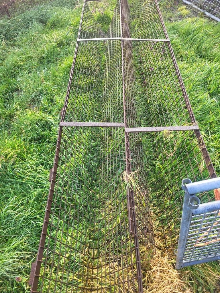 Hooiruif, Dieren en Toebehoren, Schapen, Geiten en Varkens