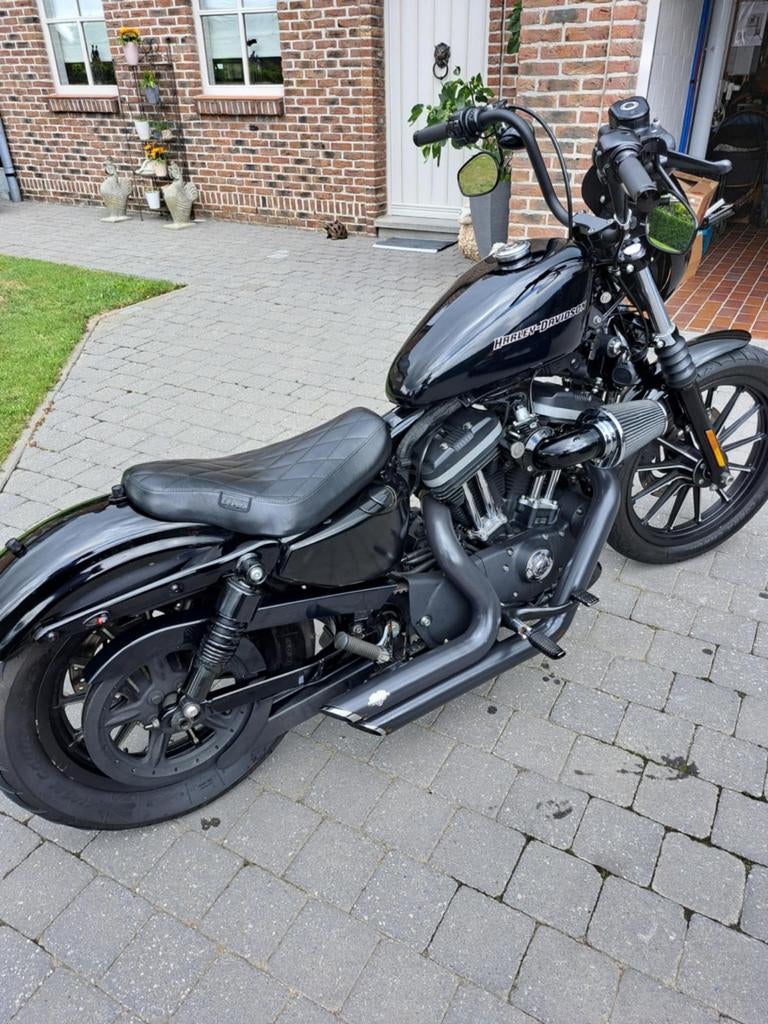 HARLEY DAVIDSON sportster 883