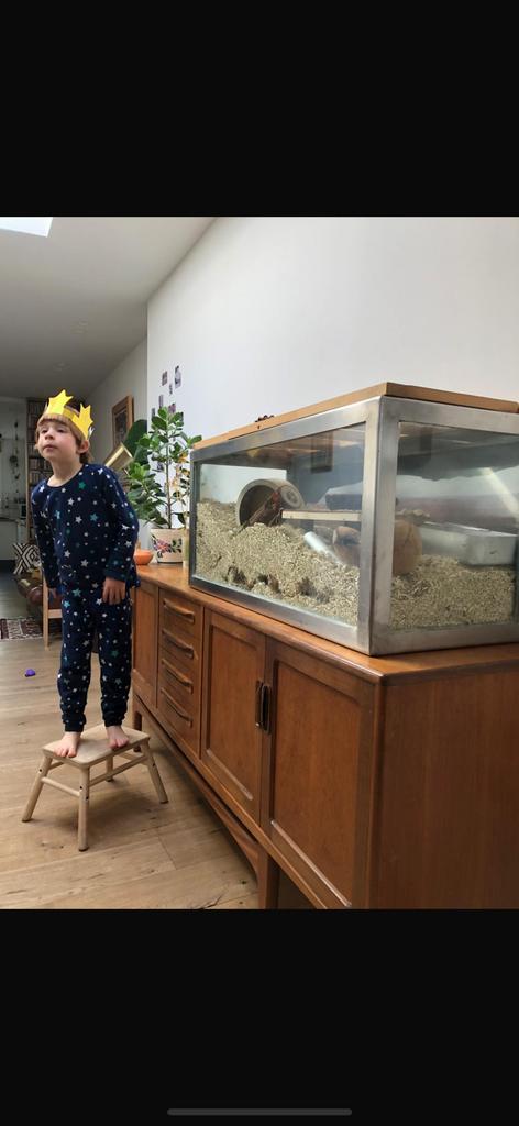 Gerbilarium (inox), Animaux & Accessoires, Enlèvement, Utilisé