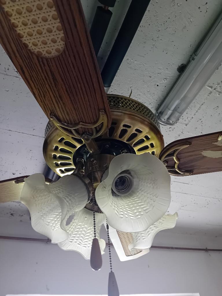 Ventilateur de plafond, Electroménager, Ventilateurs, Enlèvement, Ventilateur de plafond