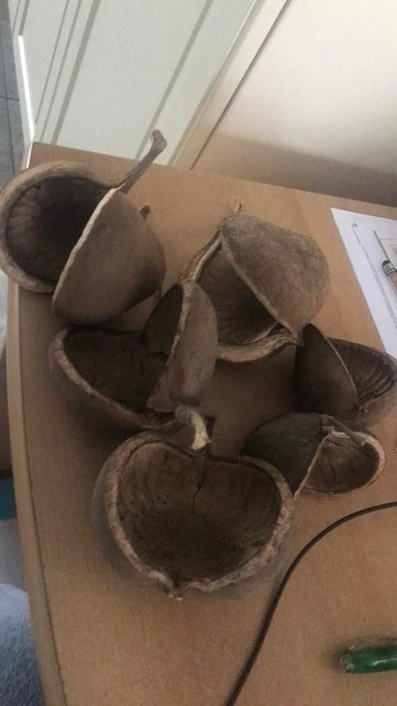 Houtdecoratie bolster 6 stuks voor 1e, Ophalen of Verzenden