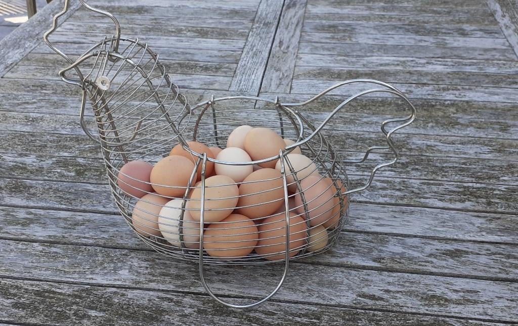 scharreleieren, Diversen, Ophalen