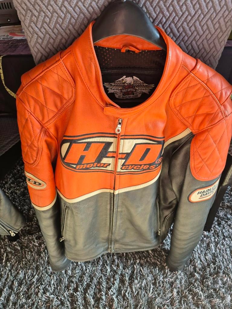 Harley davidson jas...uniek (large), Ophalen