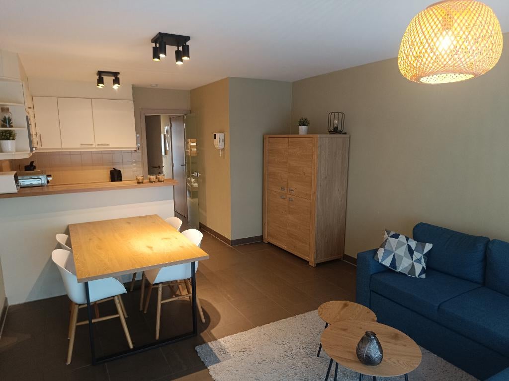 Appartement vakantieverhuur Nieuwpoort-Bad 100m v zee, Vacances, Maisons de vacances | Belgique, Anvers et Flandres, Appartement