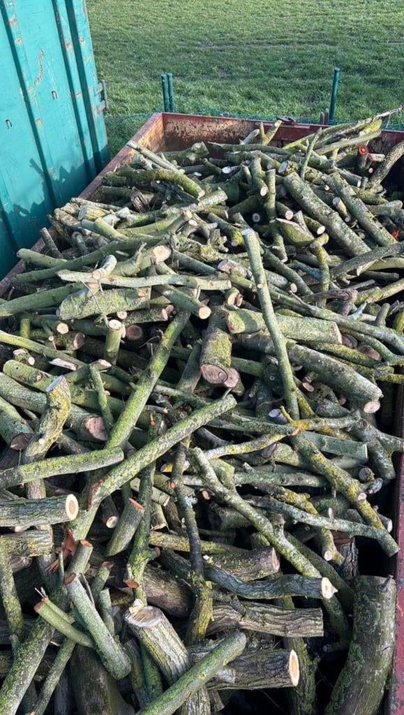 Brandhout (volledige container), Jardin & Terrasse, Bois de chauffage, Enlèvement