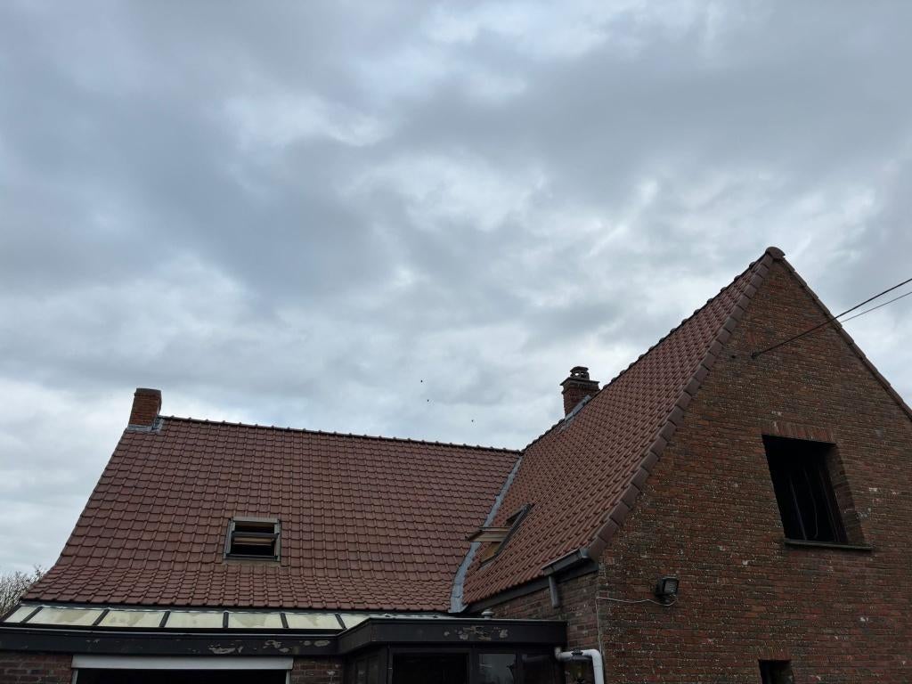 Rode Pottelberg dak-, nok-, en gevel-pannen, Doe-het-zelf en Bouw, Dakpannen en Dakbedekking, Gebruikt, Dakpannen, Rood, 15 m² of meer