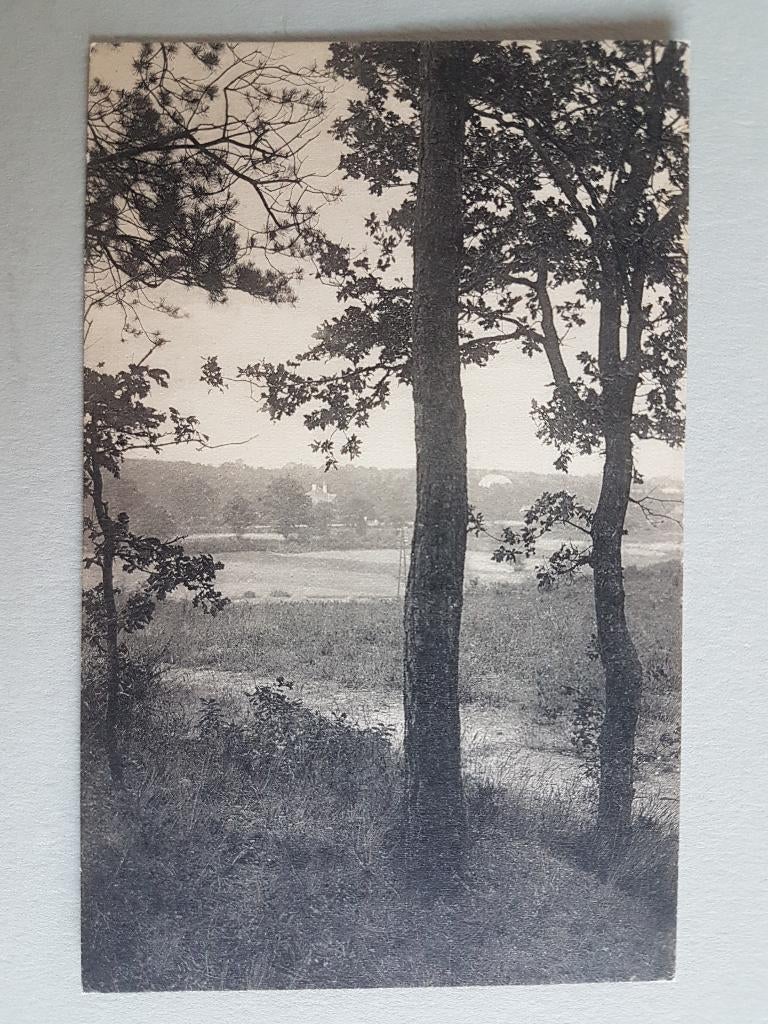 Postkaart Genk Genck Vue sur la vallée, Ophalen of Verzenden, 1920 tot 1940, Ongelopen, Limburg