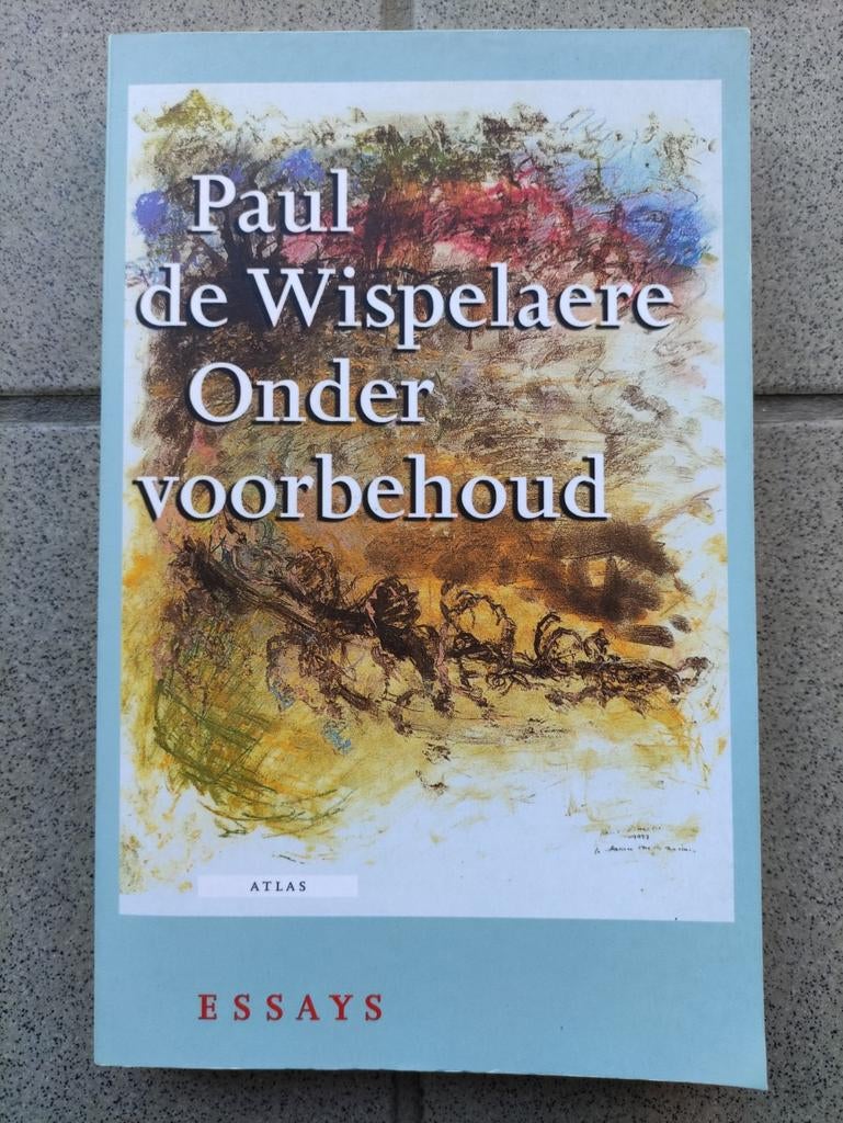 PAUL DE WISPELAERE - ESSAYS ONDER VOORBEHOUD, Boeken, Ophalen of Verzenden