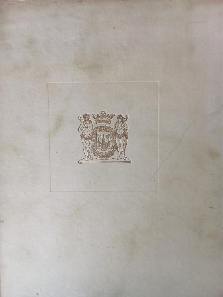 Antwerpen - fotoboek in zwartwit - bijzondere uitgave, Boeken, Geschiedenis | Nationaal, Ophalen of Verzenden