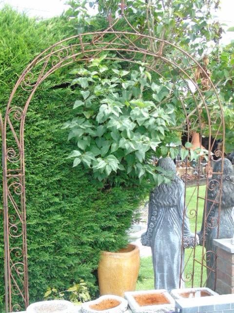 arche de jardin en fer forgé double , lire l annonce, Jardin & Terrasse, Enlèvement, Neuf