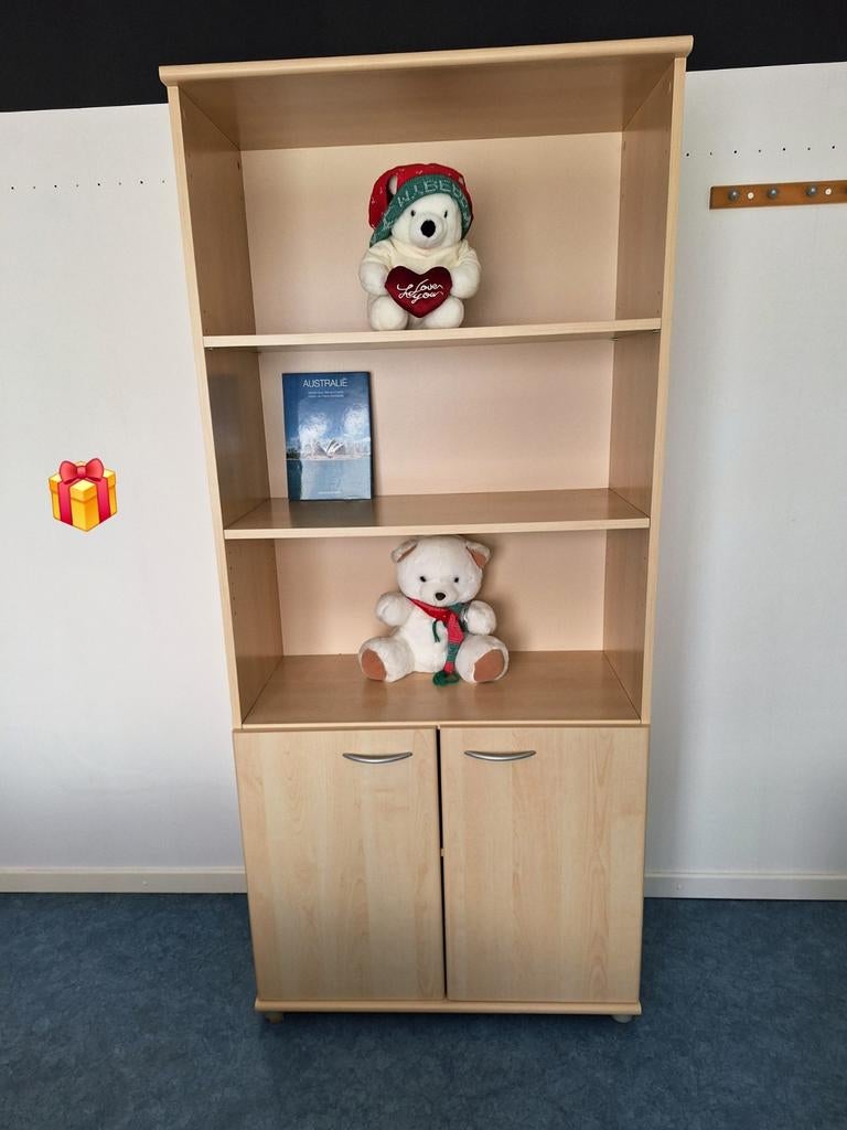 NOUVEAU ! ! belle bibliothèque/armoire de rangement. Parfait, Maison & Meubles, Enlèvement