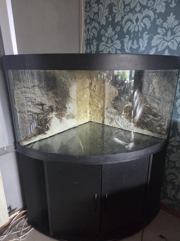 Juwel trigon 350 compleet, Dieren en Toebehoren, Ophalen