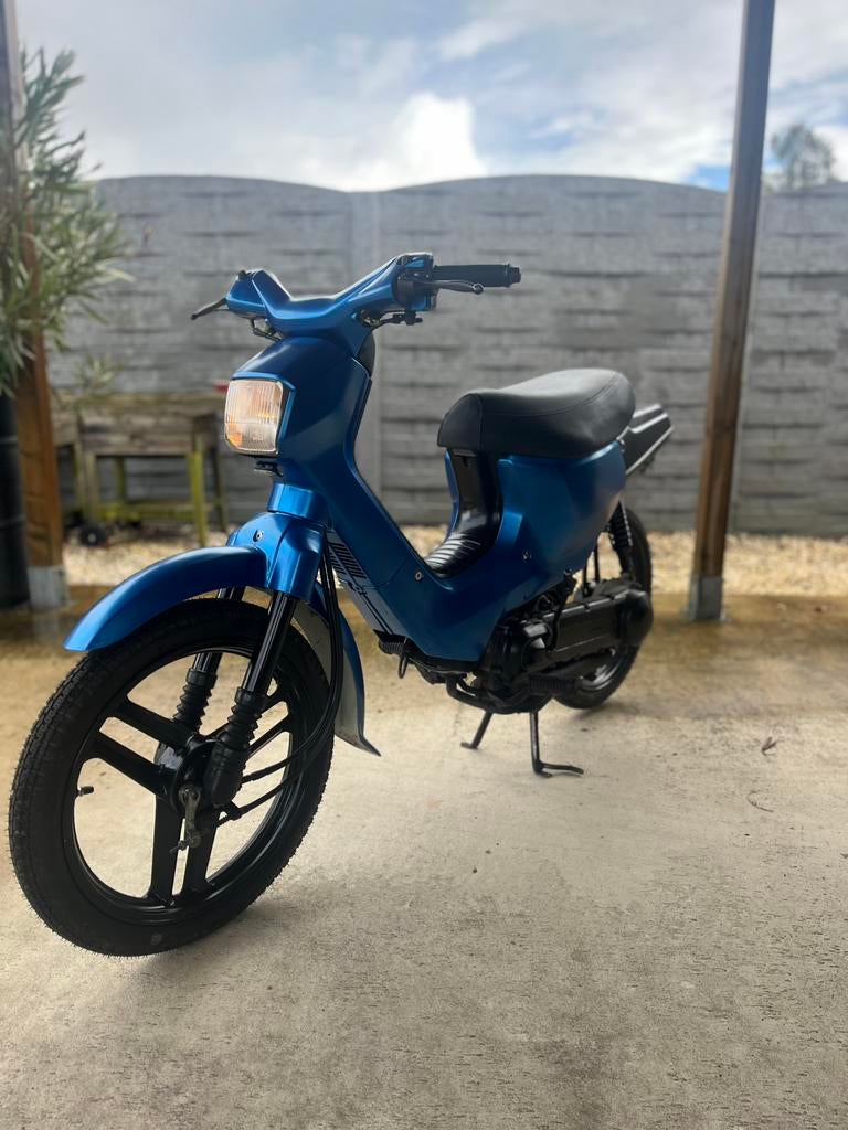Honda Wallaroo, Autres modèles, 1 vitesses, Classe B (45 km/h), Enlèvement