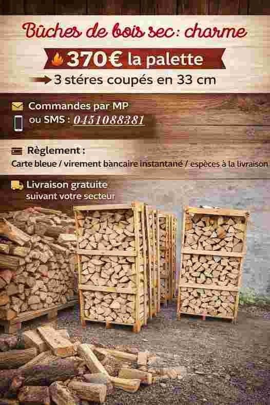 Bois dur hêtre chêne pour chauffage paiement à la livraison, Tuin en Terras, Brandhout, Blokken, Beukenhout, 6 m³ of meer, Ophalen of Verzenden