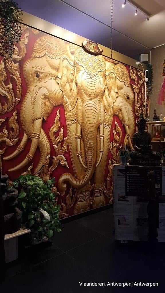 Relaxmassage over te nemen- to take over relaxation massage, Diensten en Vakmensen