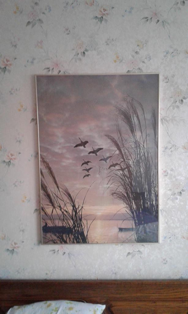 Foto kader met zonsondergang 98 x 69 cm, 75 cm ou plus, Comme neuf, 50 à 75 cm, Enlèvement