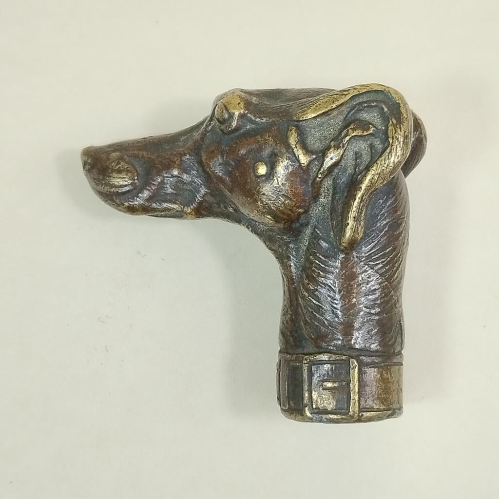 Pommeau tête de lévrier bronze 1900, Antiquités & Art, Enlèvement ou Envoi