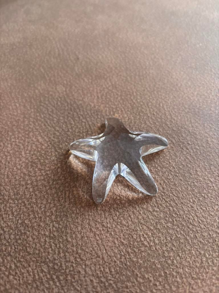 Swarovski zeester, Enlèvement, Comme neuf