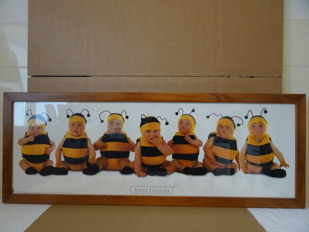 Affiche Anne Geddes bébés 90x30cm Anne Geddes affiche 1997, Collections, Posters & Affiches, Utilisé, Autres sujets/thèmes, A1 jusqu'à A3