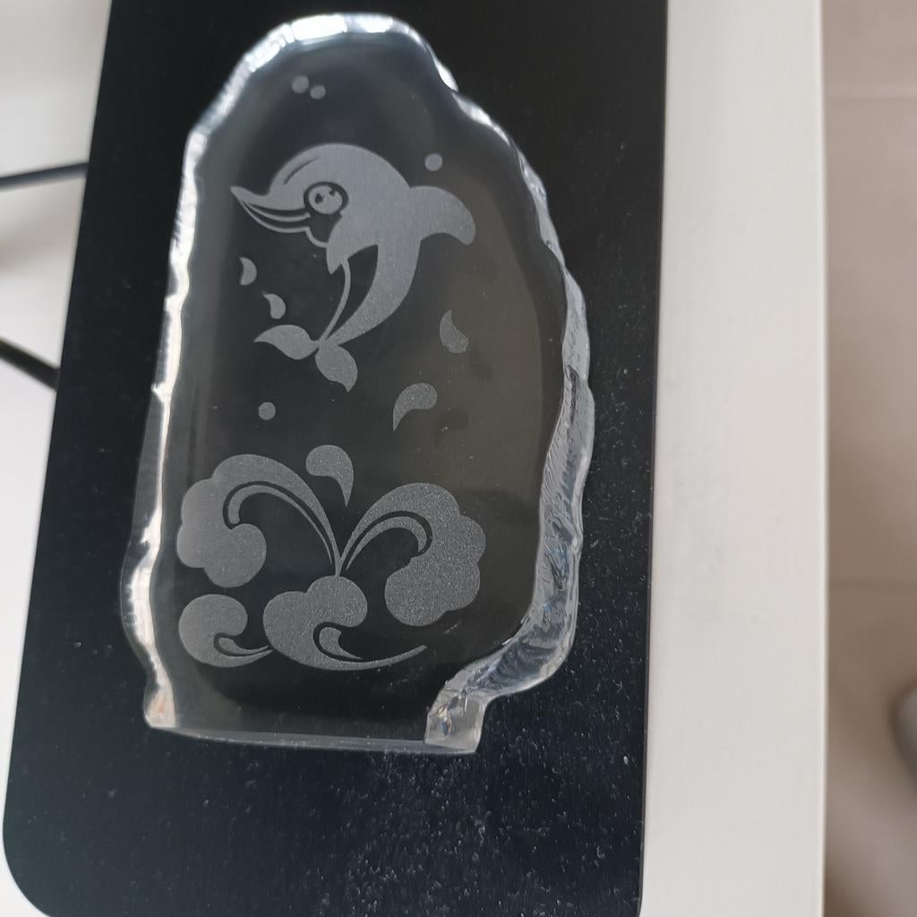 Dolfijn 12 op 7 cm, Ophalen of Verzenden, Nieuw