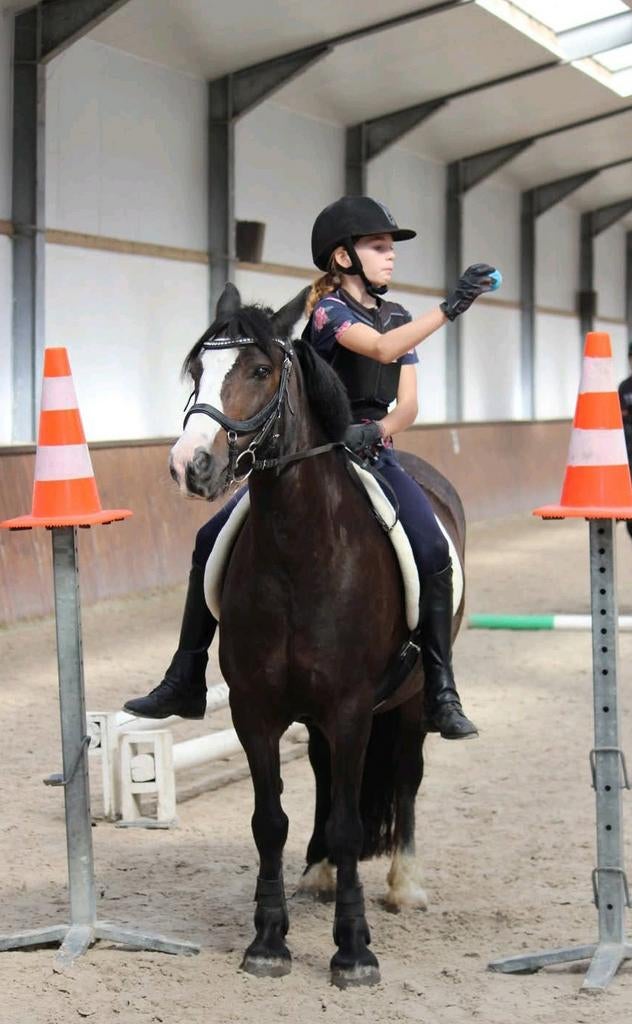 Halve stal aangeboden! ‼️Omgeving geel‼️, Dieren en Toebehoren, Paarden en Pony's | Verzorgingsproducten, Ophalen