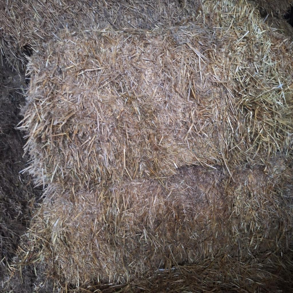 Stro te koop, Dieren en Toebehoren, Ophalen of Verzenden