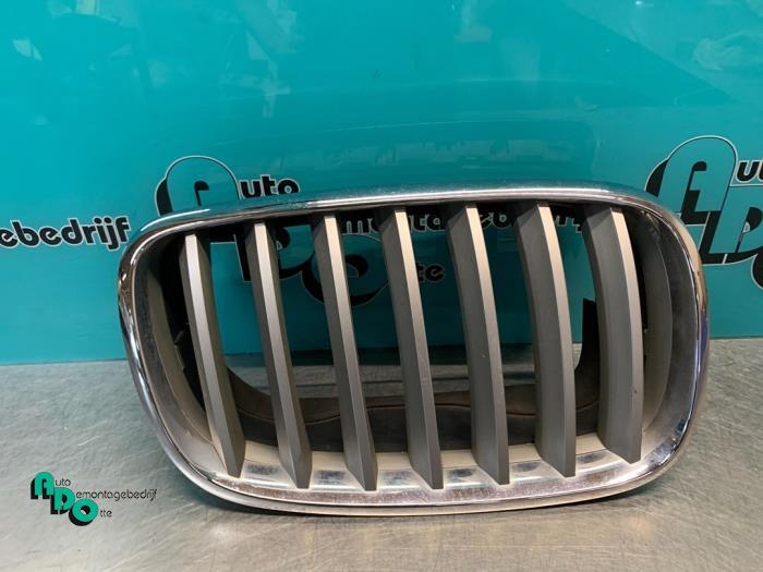 Grille van een BMW X5 (X5 07-) (NVT), Gebruikt, -, -, Ophalen of Verzenden