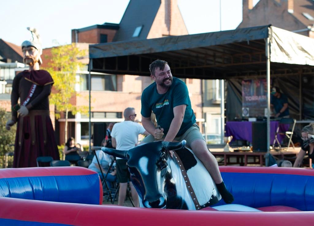 rodeostier  rodeo BULL zie foto's verschillende looks, Verzenden, Zo goed als nieuw