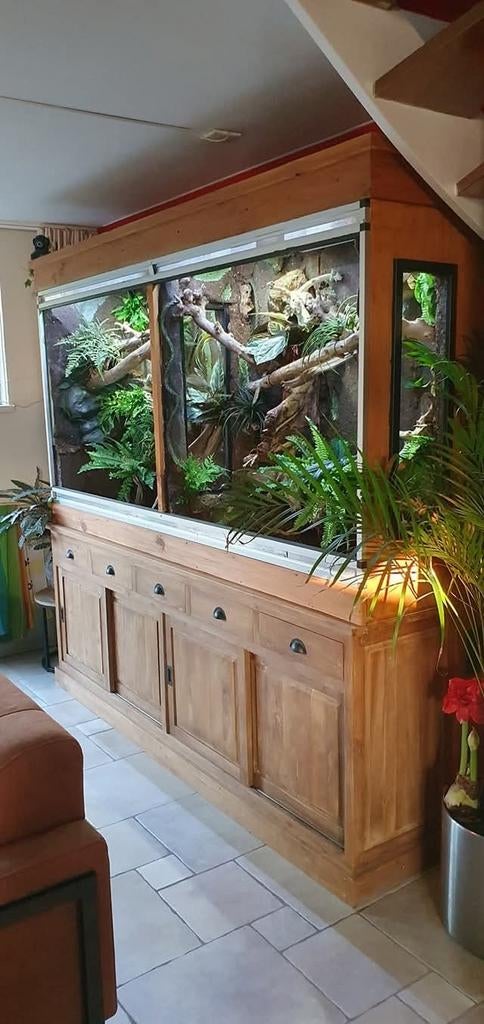 Uniek groot dubbel terrarium met 3D achterwand, bovenkast, Ophalen, Verlichting