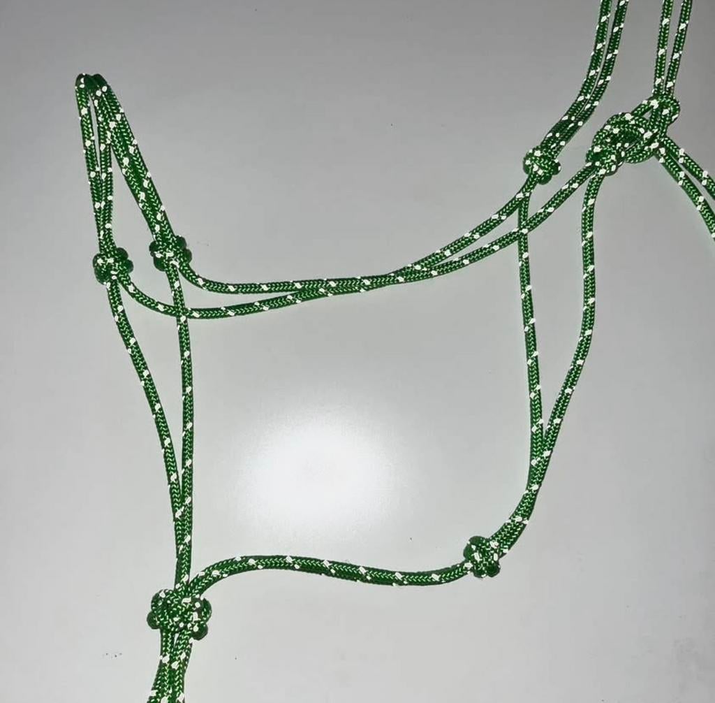 Reflecterend touwhalster nieuw, Dieren en Toebehoren, Ophalen of Verzenden, Nieuw