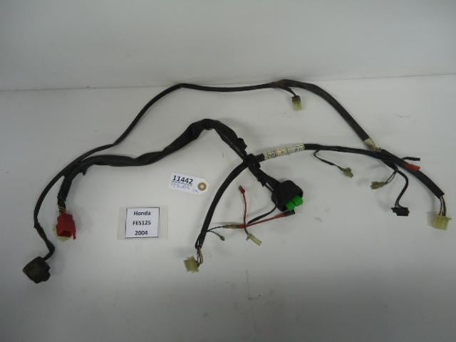 FES125 Pantheon 1997 - 2006 Honda Kabelboom D1-16883, Motoren, Onderdelen | Honda