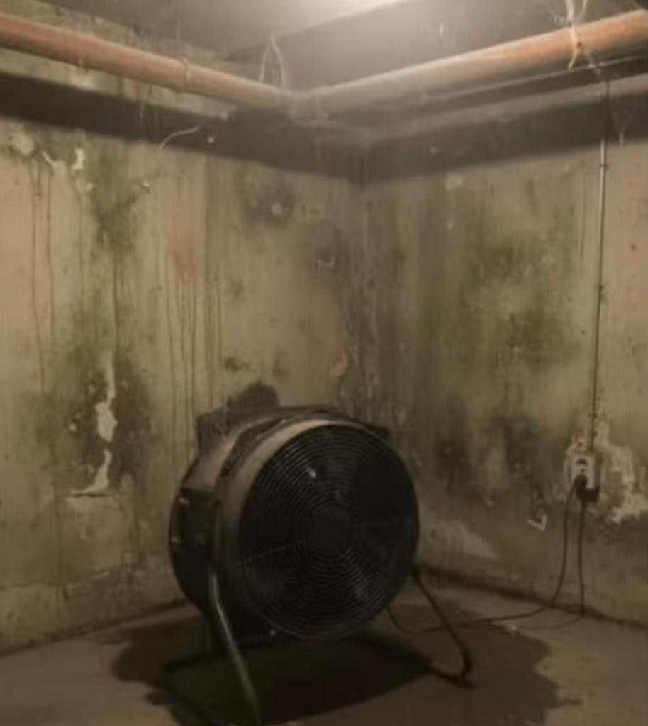 grote bouwdroger ventilator voor industrie, Doe-het-zelf en Bouw, Ophalen, Gebruikt, Ventilator