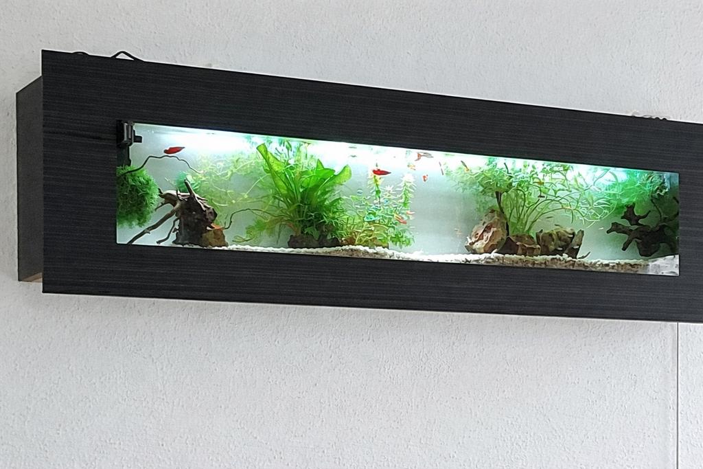 Aquarium mural panoramique, Enlèvement, Utilisé, Aquarium vide