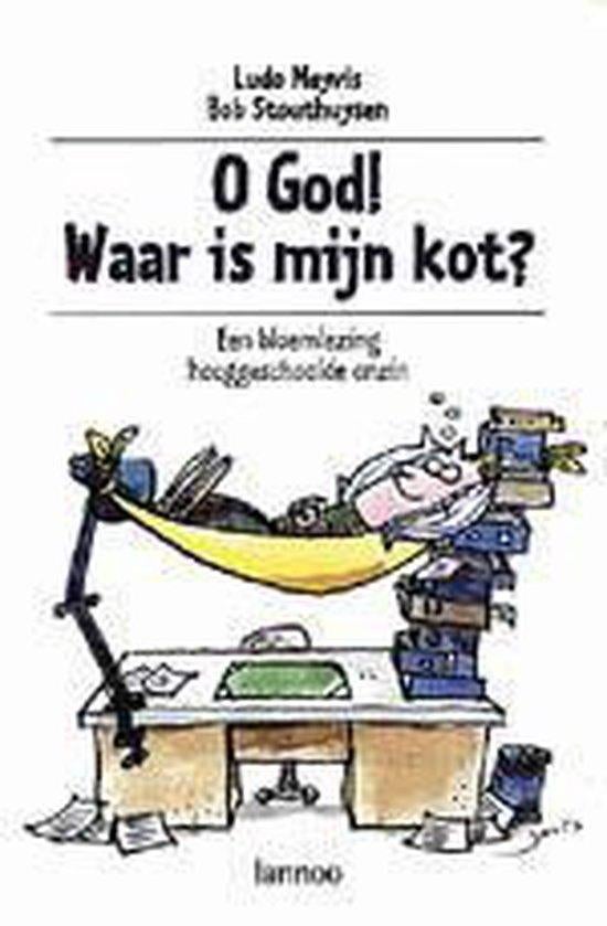 Te Koop Boek O God! waar is mijn kot? L.Meyvis B. Stouthuyse, Ophalen of Verzenden, Gelezen, Overige onderwerpen, L.Meyvis B. Stouthuyse