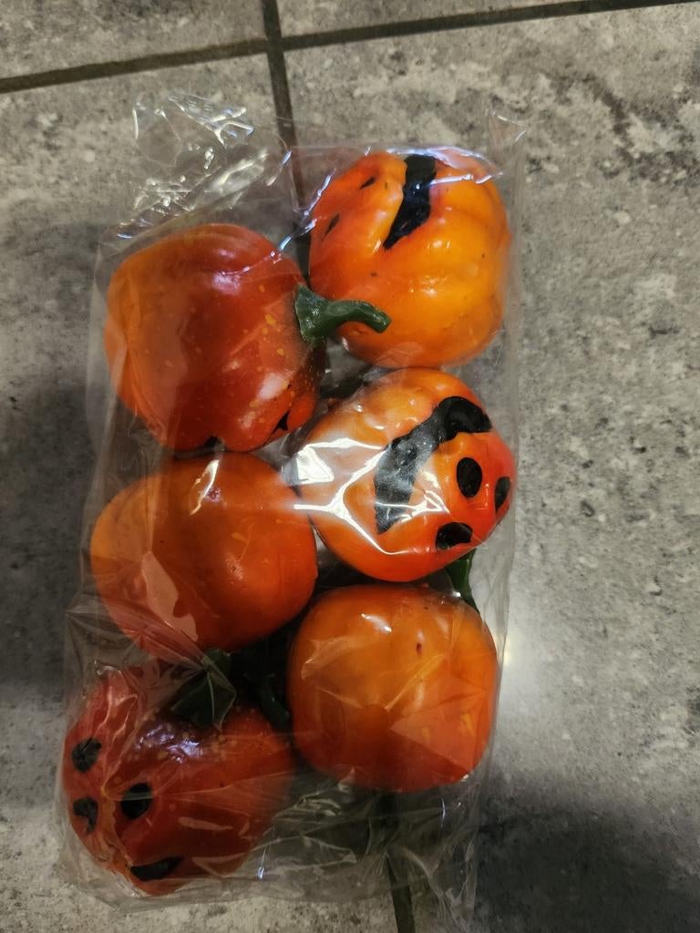 Decoration citrouille halloween