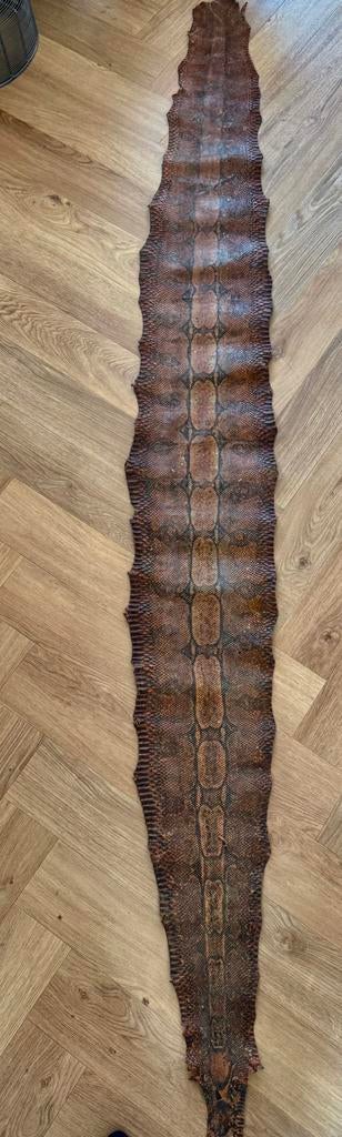 Slangenhuid 2m60, Ophalen of Verzenden