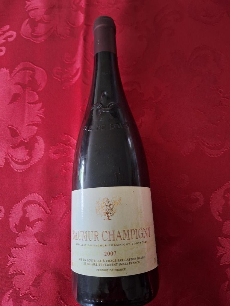 Saumur Champigny 2007, appellation Saumur Champigny contrôlé, Neuf, Enlèvement, Vin rouge, France