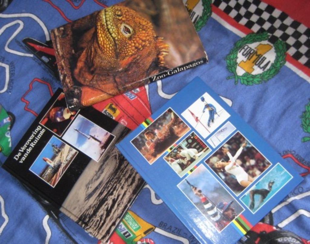 BOEKEN - Artis & Historia - Lot van 17 Boeken, Livres, Loisirs & Temps libre, Comme neuf, Autres sujets/thèmes, Enlèvement ou Envoi