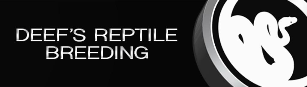 V70 Rack + Breeders + Incubator, Animaux & Accessoires, Enlèvement, Neuf, Incubateur ou Couveuse