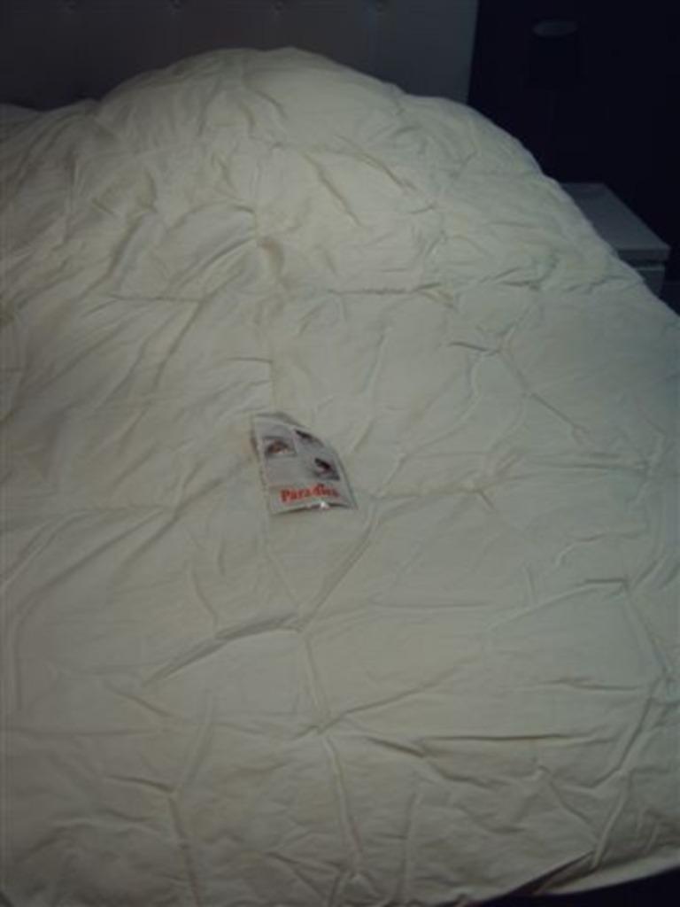 1-persoons windterdonsdeken, Ophalen, Gebruikt, Eenpersoons, Wit