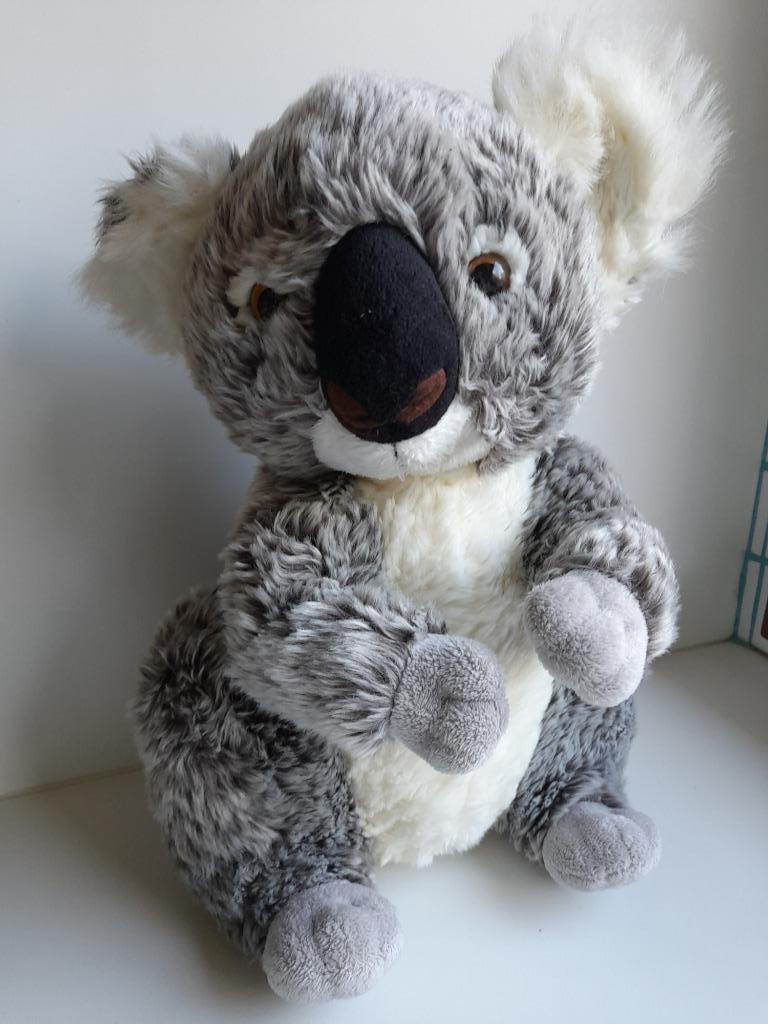 knuffel koala van Zoo Planckendael, Ophalen of Verzenden, Zo goed als nieuw