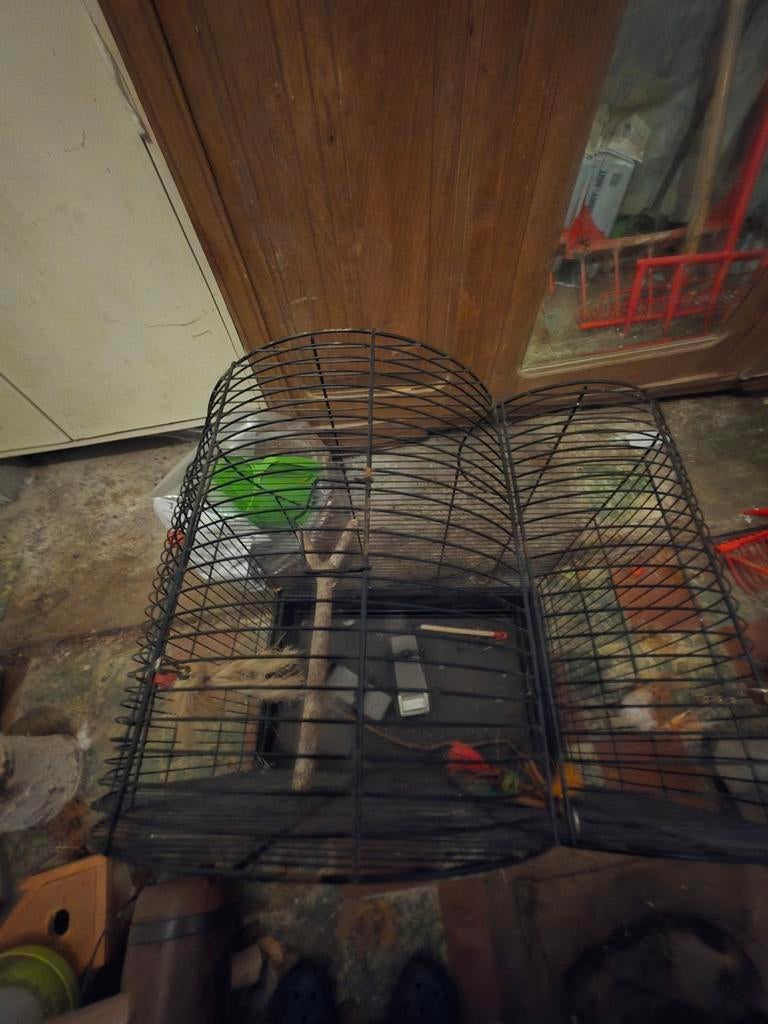Vogelkooi/kanarie kooi, Enlèvement ou Envoi, Cage à oiseaux