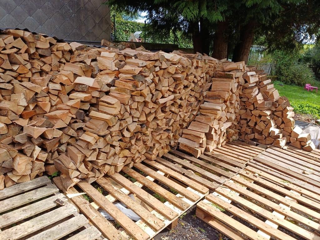 Bois de chauffage Extra sec de 2023, Jardin & Terrasse, Bois de chauffage, Hêtre, Enlèvement ou Envoi