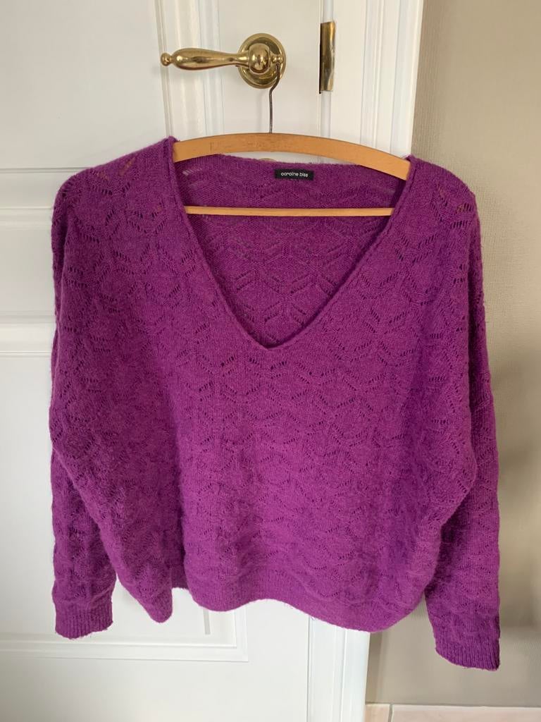 Mooie trui pull Caroline Biss L los model, Kleding | Dames, Ophalen of Verzenden