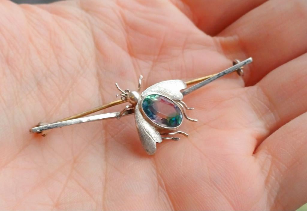 Broche en argent antique unique, insecte, Enlèvement ou Envoi, Comme neuf