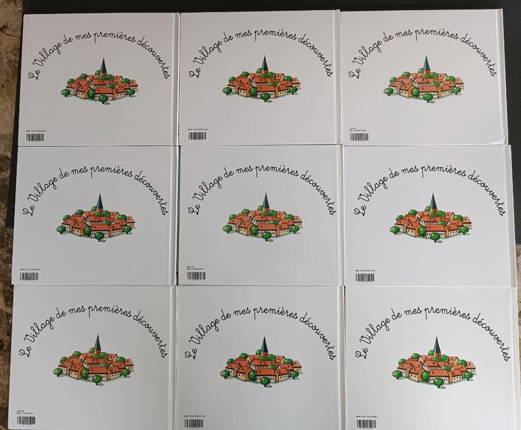 Le Village de mes premières découvertes, Livres, Garçon ou Fille, Hachette, Comme neuf, Enlèvement